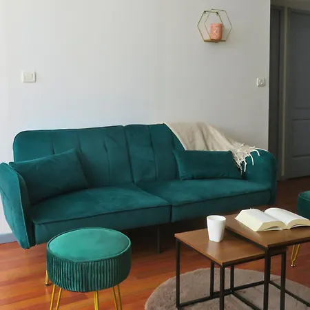 Renove 2 55m2 Parking Prive Et Wifi Appartement *